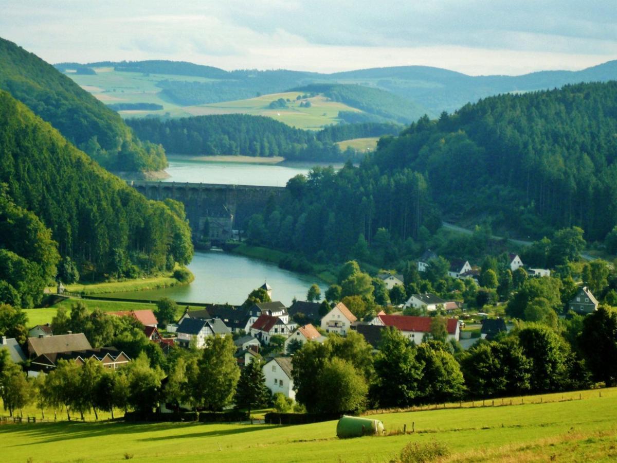 Fewo Blumes Bergfrieden Mit Meinecardplus Willingen  Eksteriør bilde