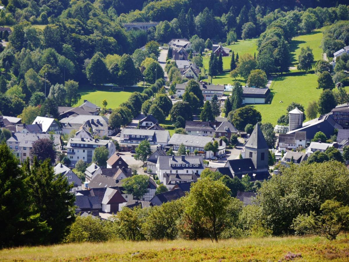 Fewo Blumes Bergfrieden Mit Meinecardplus Willingen  Eksteriør bilde